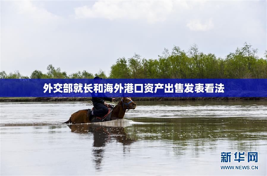 外交部就长和海外港口资产出售发表看法