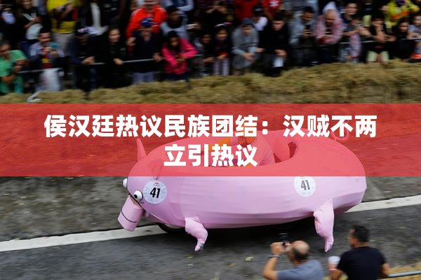 侯汉廷热议民族团结：汉贼不两立引热议