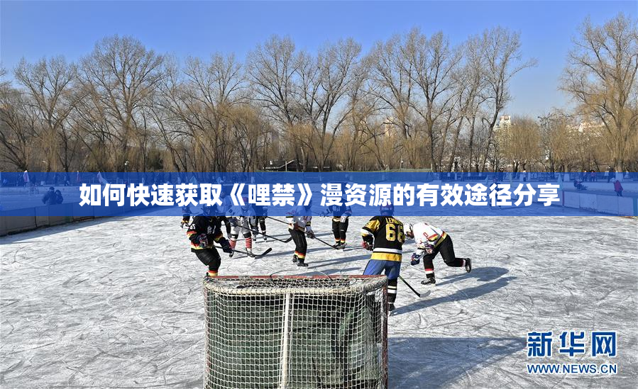 如何快速获取《哩禁》漫资源的有效途径分享