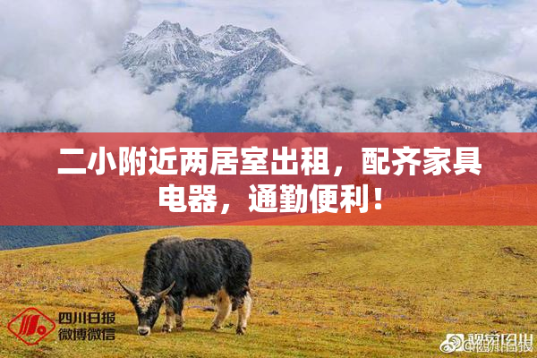 二小附近两居室出租，配齐家具电器，通勤便利！