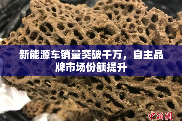 新能源车销量突破千万，自主品牌市场份额提升