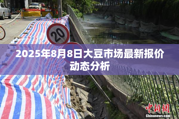 2025年8月8日大豆市场最新报价动态分析