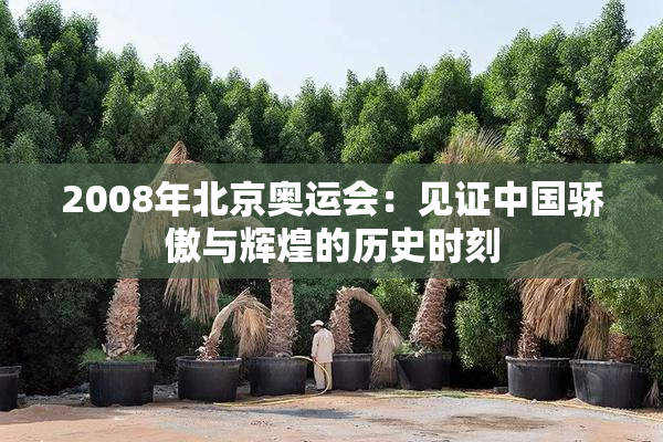 2008年北京奥运会：见证中国骄傲与辉煌的历史时刻