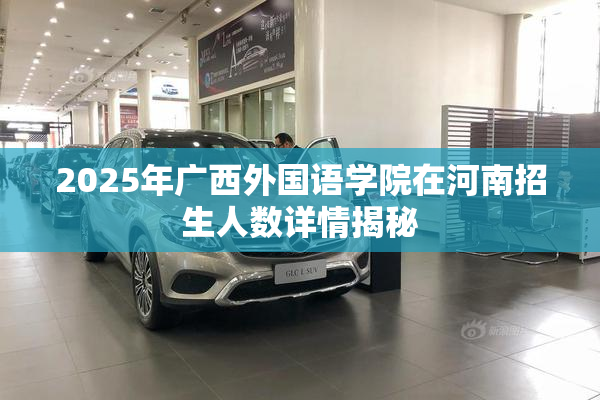 2025年广西外国语学院在河南招生人数详情揭秘