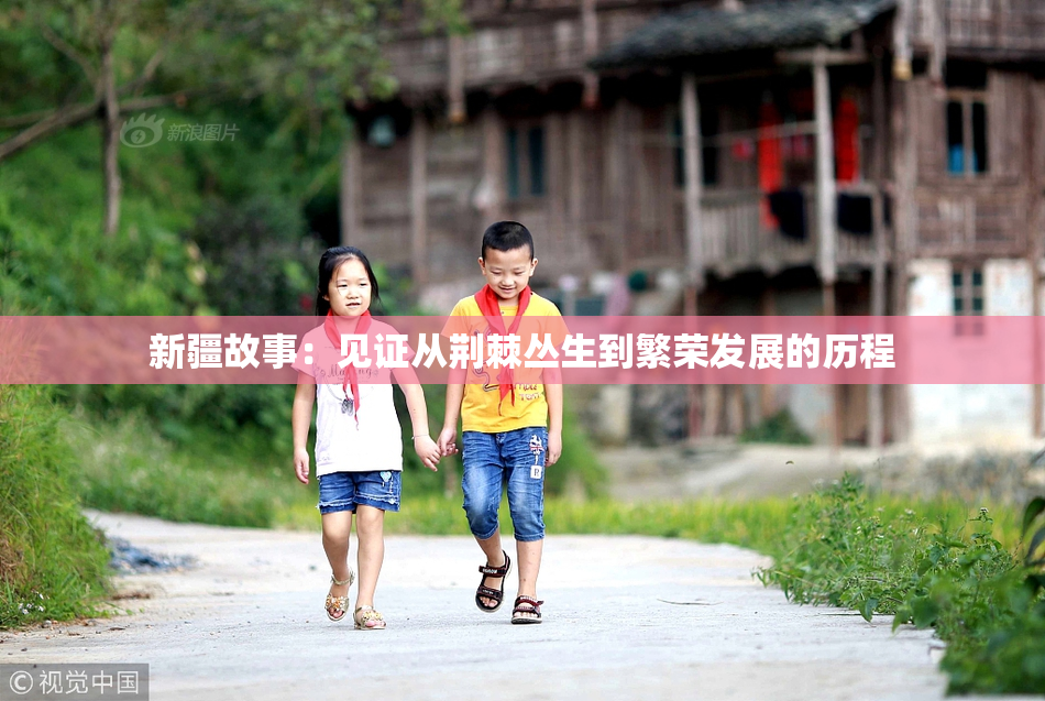 新疆故事：见证从荆棘丛生到繁荣发展的历程