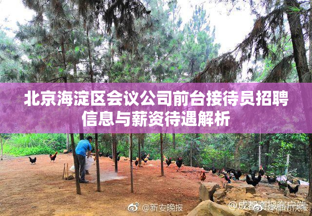 北京海淀区会议公司前台接待员招聘信息与薪资待遇解析