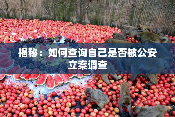 揭秘：如何查询自己是否被公安立案调查