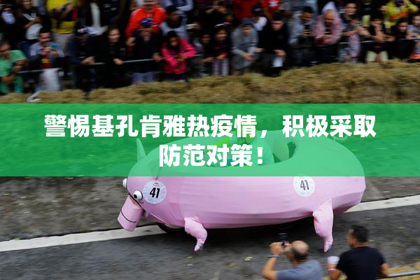 警惕基孔肯雅热疫情，积极采取防范对策！