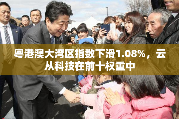 粤港澳大湾区指数下滑1.08%，云从科技在前十权重中
